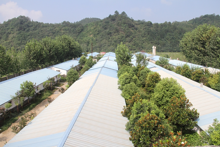 养殖基地
